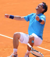 ダウンロード (1)