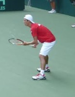 ダウンロード (1)